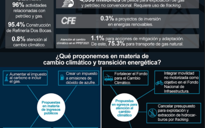 EL FUTURO NO ES UNA PRIORIDAD: EL PROYECTO DE PRESUPUESTO PARA 2021 AJENO A LA EMERGENCIA CLIMÁTICA