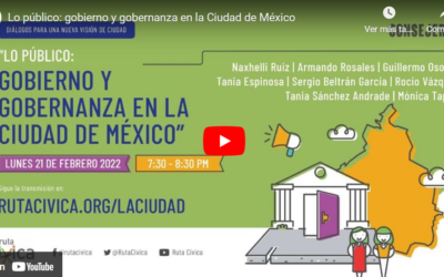 Lo público: gobierno y gobernanza en la Ciudad de México